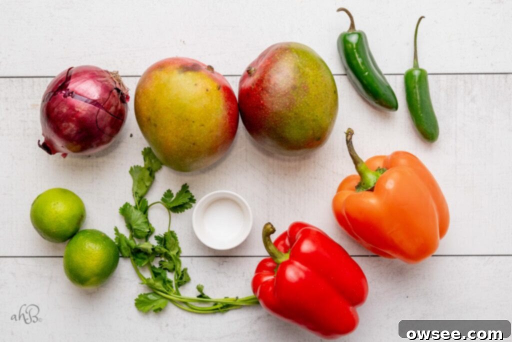 Tropical Heat Mango Salsa 5 Red onion, 2 mangos, 2 jalapenos, 2 limes, cilantro, salt, and 2 bell peppers on a white background.