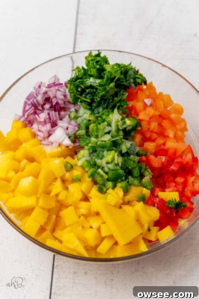 Tropical Heat Mango Salsa 6 Finely chop all the ingredients and place them in a bowl.