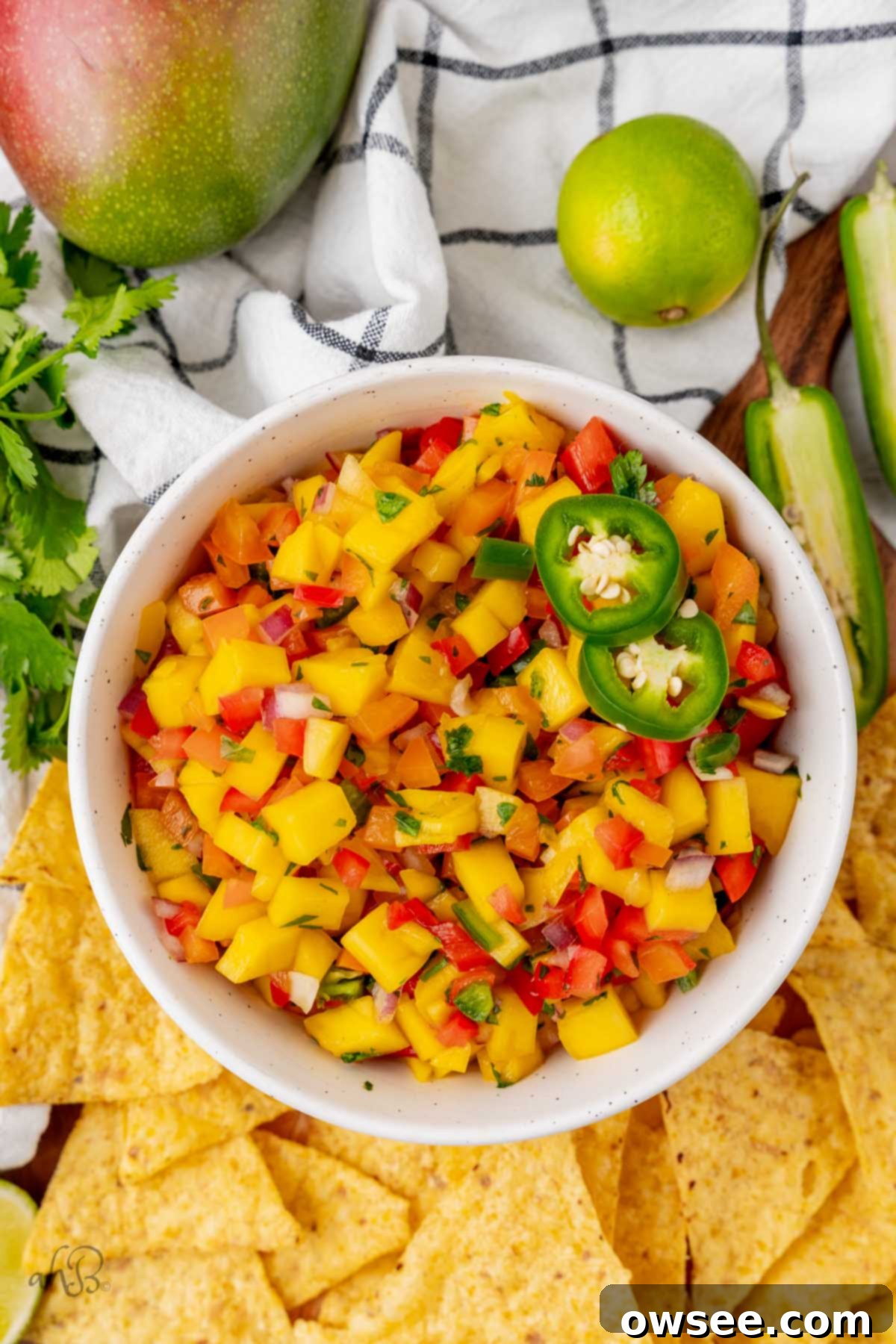 Tropical Heat Mango Salsa 9 img 13387 8 1