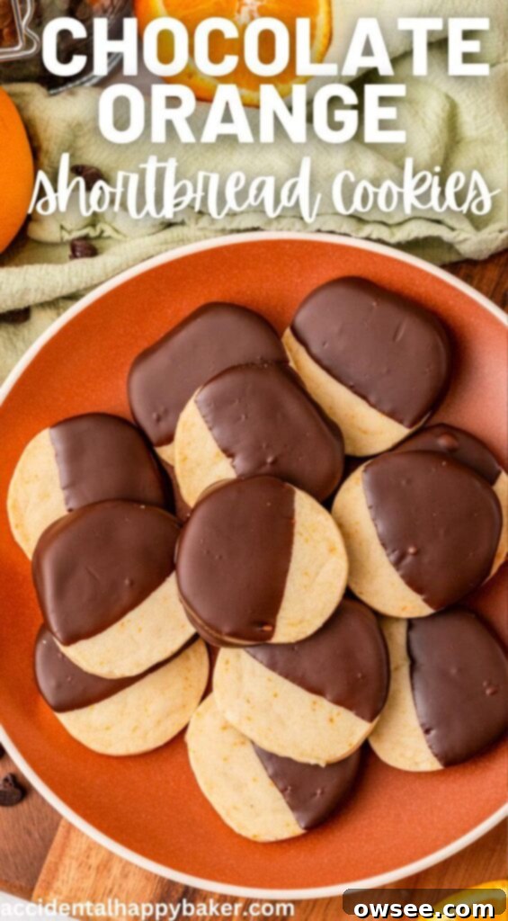 Decadent Orange Chocolate Shortbread 14 A stack of four chocolate Orange Shortbread Cookies, close up, showing the texture of the shortbread and the melted chocolate.