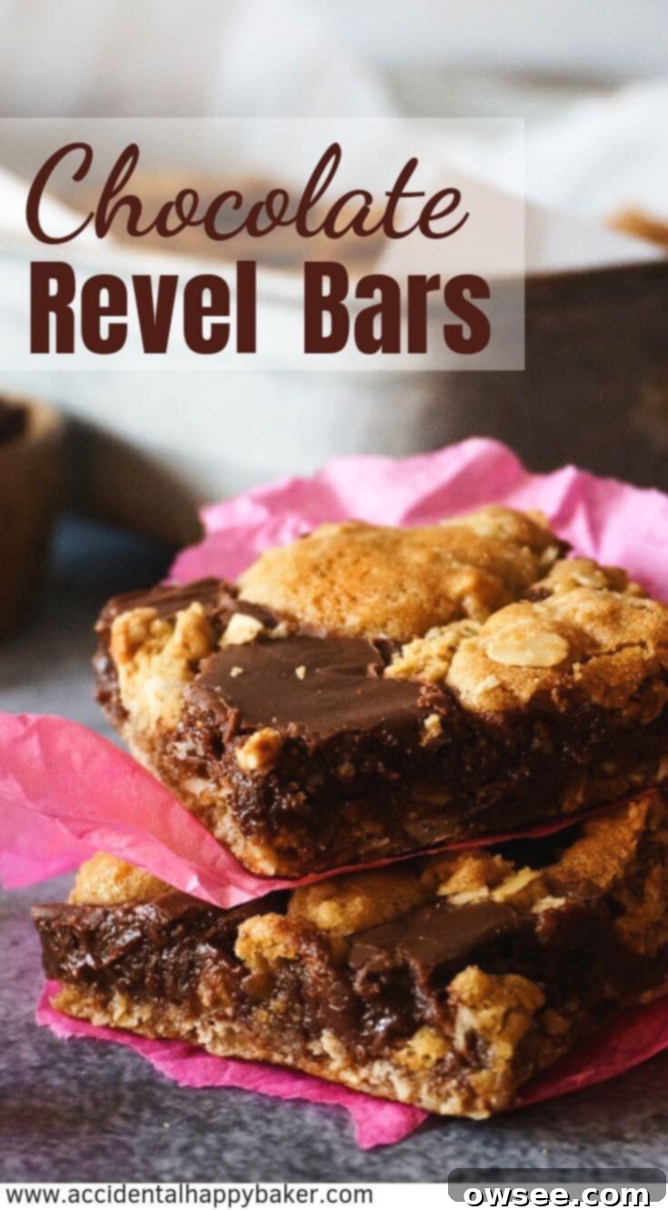 Blissful Chocolate Revel Bars 6 A beautifully composed shot of Chocolate Revel Bars, highlighting their fudgy, chocolaty, and oatmeal goodness. Perfect for pinning!