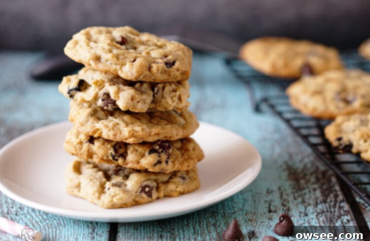 Triple Berry Chocolate Chip Cookies stacked on a cooling rack by the baking tray