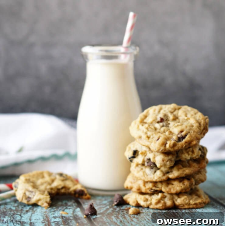 Stacked Triple Berry Chocolate Chip Cookies