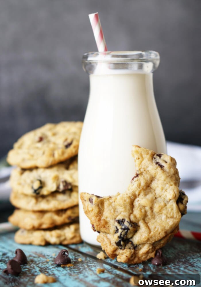 Ultimate Triple Berry Chocolate Chip Oatmeal Cookies 5 Triple Berry Chocolate Chip Cookies