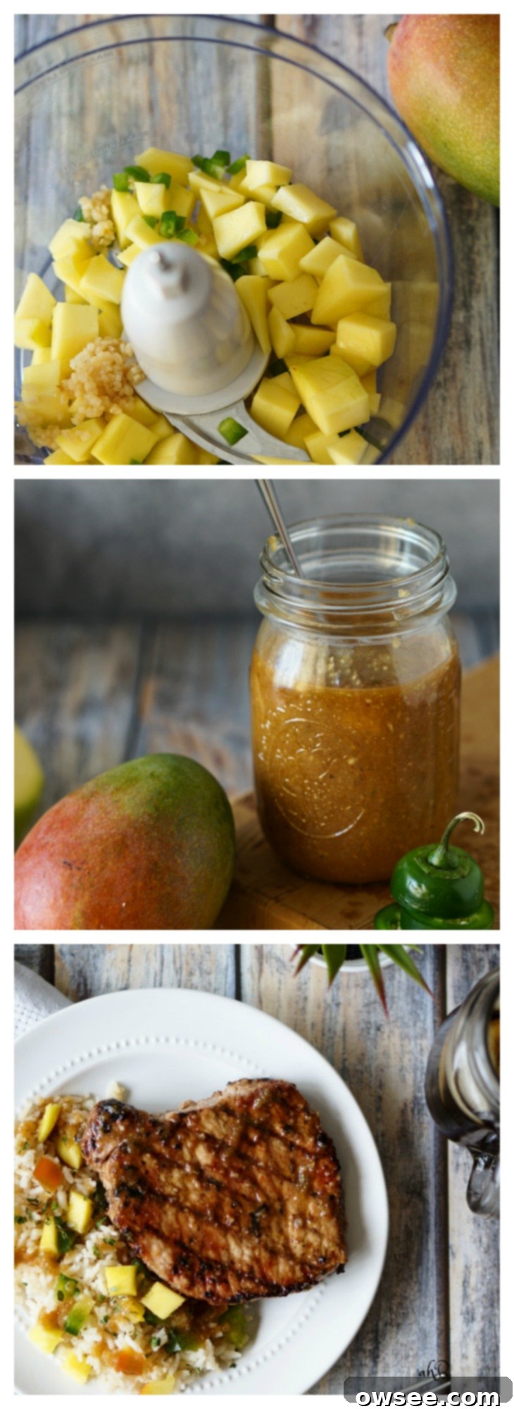 Tropical Heat Mango Jalapeno BBQ Sauce 2 Mango Jalapeno Barbecue Sauce