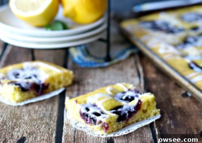 Zesty Lemon Blueberry Poppy Seed Bars 6 Delightful Lemon Poppyseed Blueberry Squares, an easy and crowd-pleasing dessert.