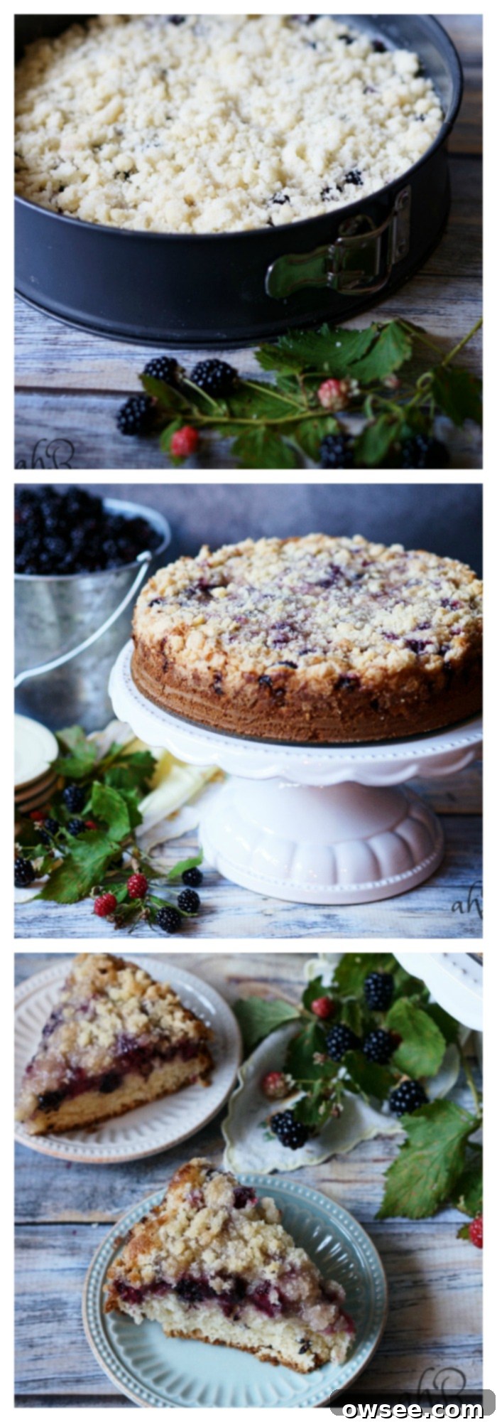 Blackberry Crumb Cake 2 Blackberry Crumb Kuchen - Delicious German Berry Cake