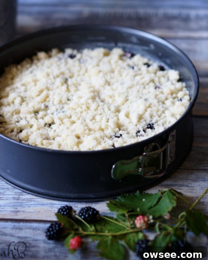 Blackberry Crumb Kuchen batter in a springform pan