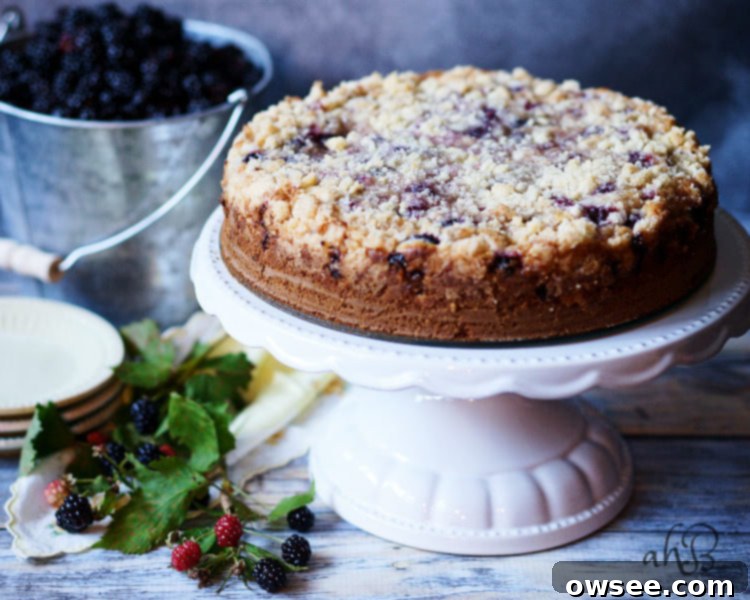 Slice of Blackberry Crumb Kuchen with vanilla ice cream