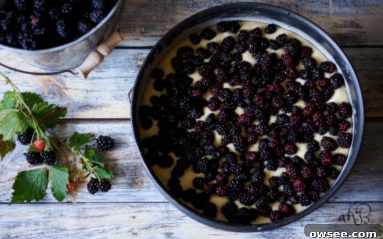 Blackberry Crumb Cake 6 Blackberry Crumb Kuchen