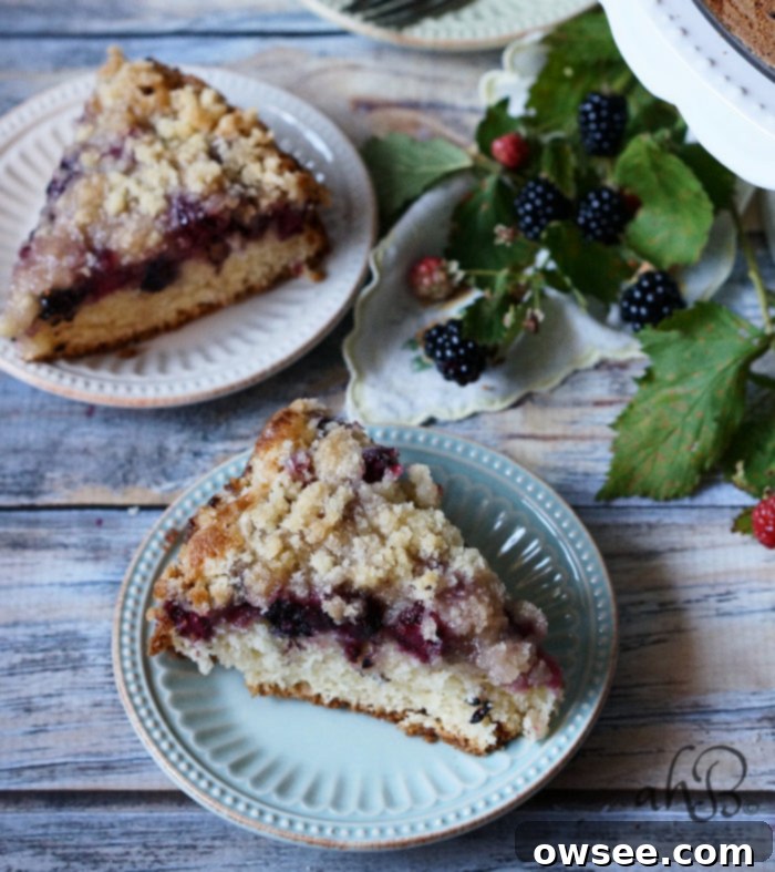 Finished Blackberry Crumb Kuchen cooling on a rack