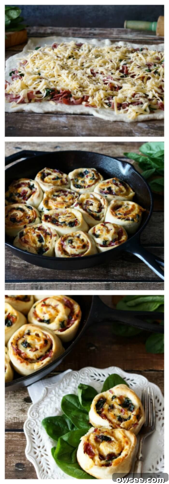Gourmet Roast Beef and Gouda Rolls 2 Savory Roast Beef and Gouda Rolls: Perfect for Parties