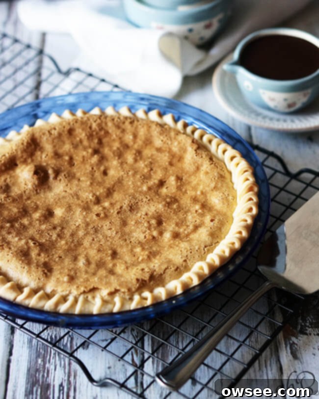 Golden Cookie Pie 4 A perfectly sliced piece of chocolate chip cookie pie on a white plate