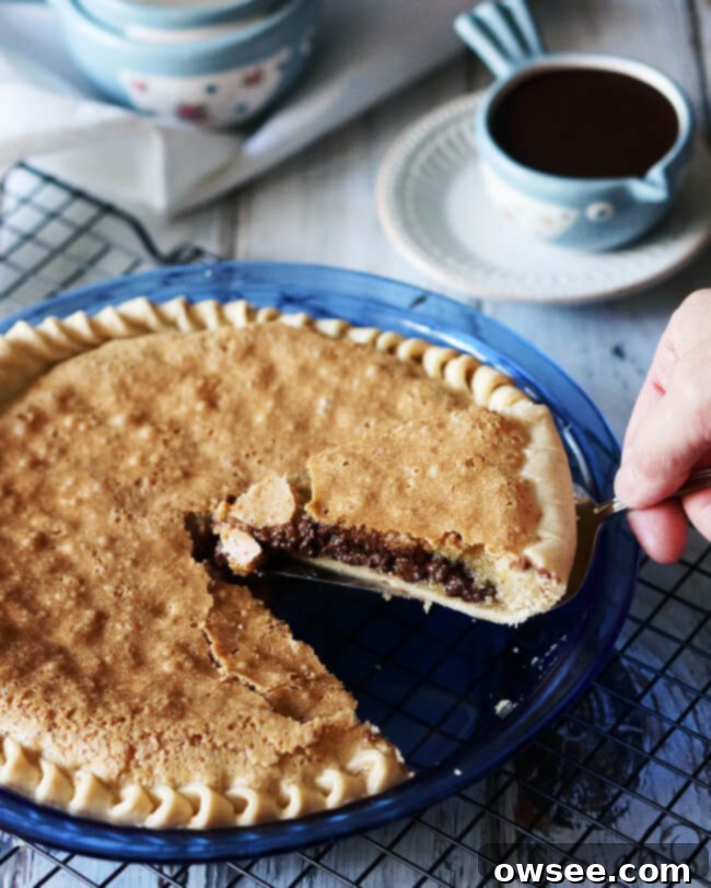Golden Cookie Pie 5 A close-up cross-section of chocolate chip cookie pie showing the buttery cookie top and melted chocolate bottom