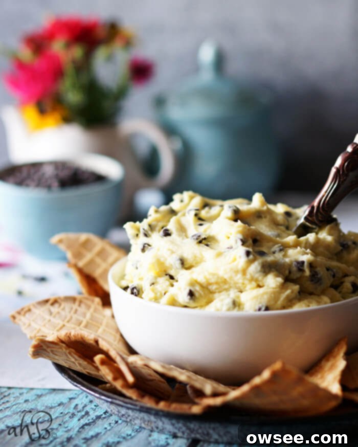 Easy Cannoli Dip - Creamy ricotta and chocolate chip dessert dip, perfect for parties.
