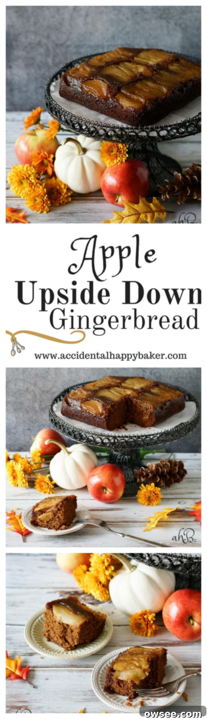 Spiced Apple Upside Down Gingerbread 2 Apple Upside Down Gingerbread Cake with caramelized apples