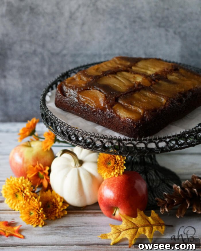 Spiced Apple Upside Down Gingerbread 6 Apple Upside Down Gingerbread Cake