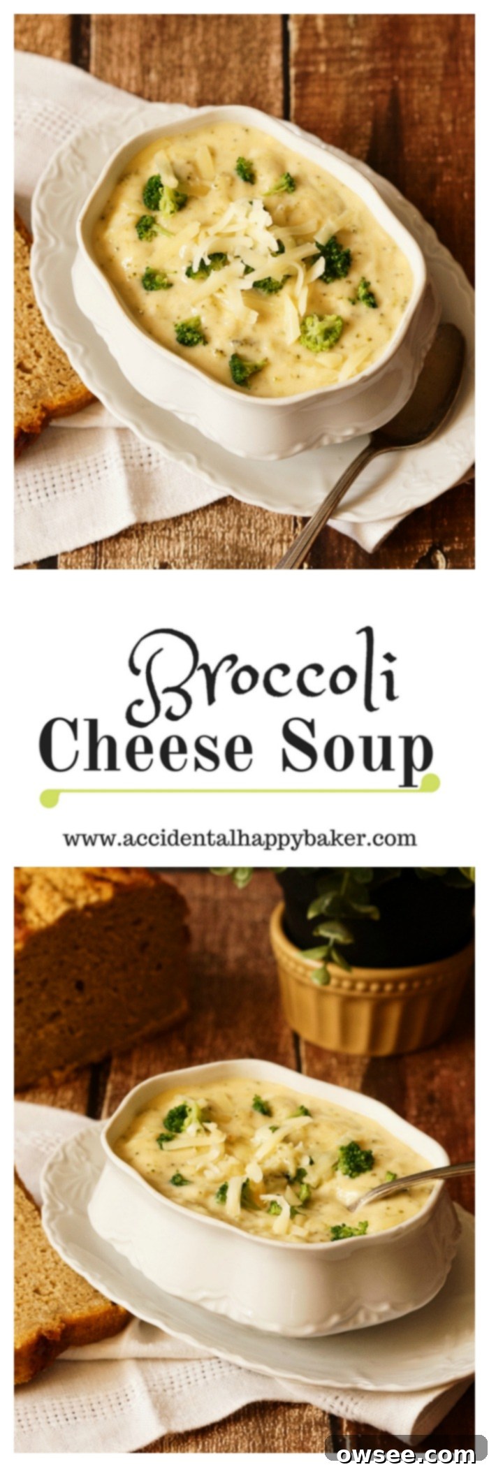 Golden Broccoli Cheddar Comfort 2 Broccoli Cheese Soup