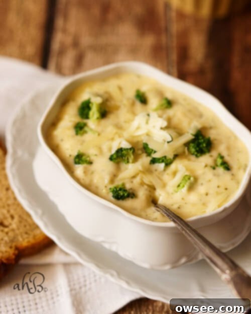 Broccoli Cheese Soup