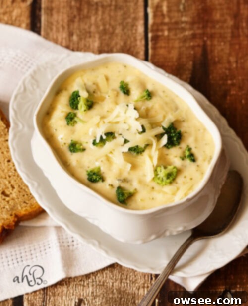 Golden Broccoli Cheddar Comfort 6 Broccoli Cheese Soup