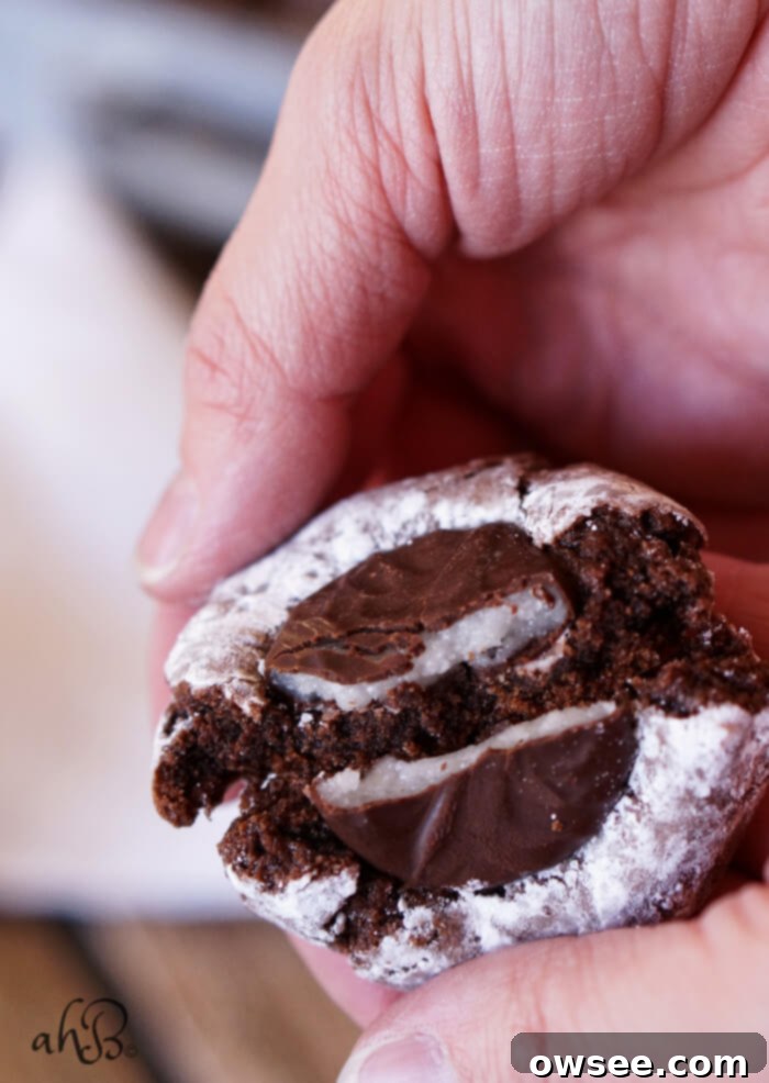 Mint Fudge Crinkle