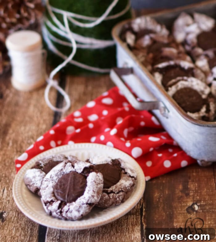 Peppermint Fudge-Filled Crinkles 5 Mint Fudge Crinkle