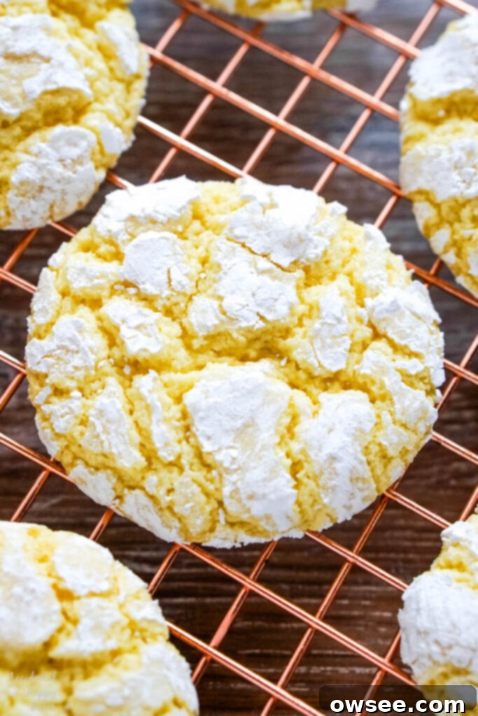 Zesty Lemon Crinkle Cookies 3 A close up image showing the texture of the lemon crinkle cookies after baking.