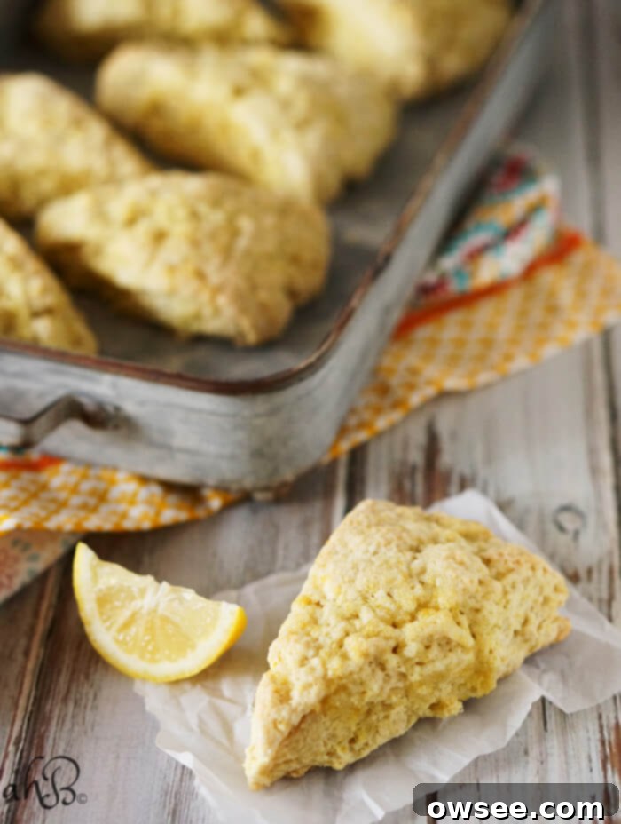 Sunshine Lemon Scones 3 A close-up view of freshly baked Lemon Sugar Scones, revealing their perfectly light and tender interior, dusted with a delicate sugar topping. Find the recipe at accidentalhappybaker.com.