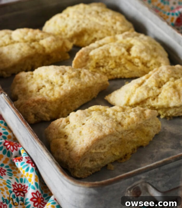 Sunshine Lemon Scones 4 A beautifully arranged stack of freshly baked Lemon Sugar Scones on a cooling rack, gleaming with their golden tops and inviting texture. Recipe available at accidentalhappybaker.com.