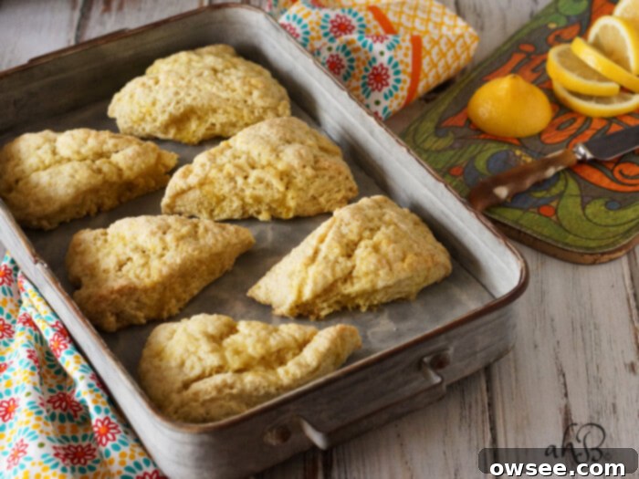 Sunshine Lemon Scones 5 Freshly baked Lemon Sugar Scones, beautifully golden and ready for serving, showcasing their delicious appeal.