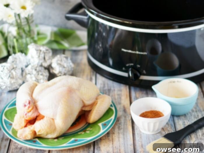 This crockpot roasted chicken recipe is one you’ll come back to time after time. Homestyle chicken is so easy to prepare and so versatile. Recipe on www.accidentalhappybaker.com @AHBamy