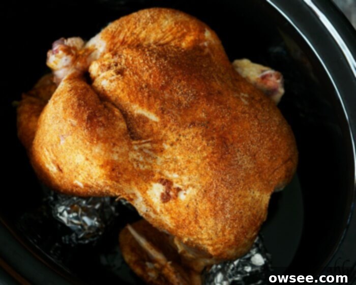 This crockpot roasted chicken recipe is one you’ll come back to time after time. Homestyle chicken is so easy to prepare and so versatile. Recipe on www.accidentalhappybaker.com @AHBamy