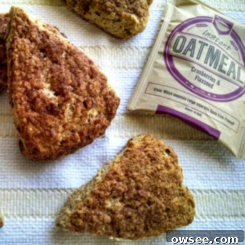 Effortless Oatmeal Scones 6 An early, charming photo of a single instant oatmeal scone, rustic and inviting.