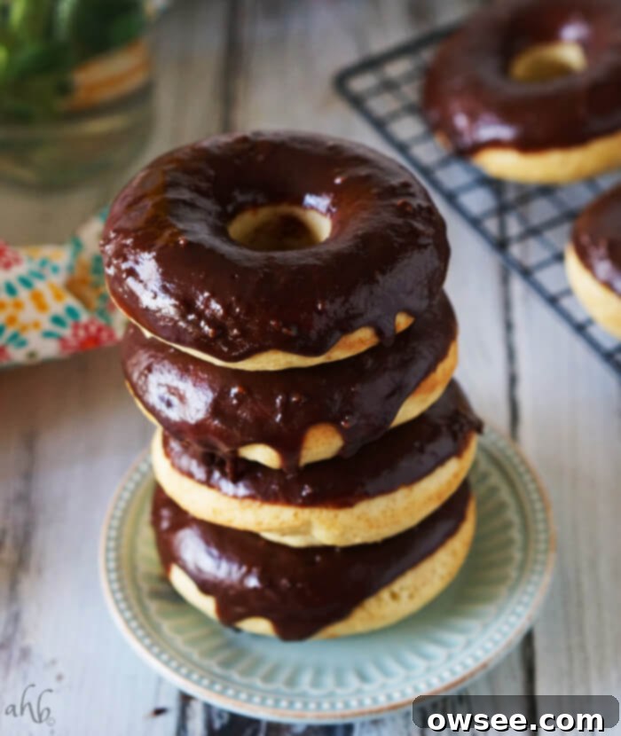 Orange Zest Chocolate Donut Delights 8 Chocolate Glazed Orange Donuts