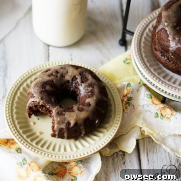 Chocolate Zucchini Donuts