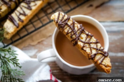 Irresistible Chocolate Almond Biscotti 3 A delicious Chocolate Almond Biscotti Cookie resting elegantly on the rim of a warm cup of coffee, inviting a delightful dunk.