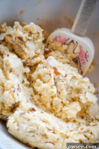 Sliced almonds being carefully folded into stiff chocolate almond biscotti cookie dough.