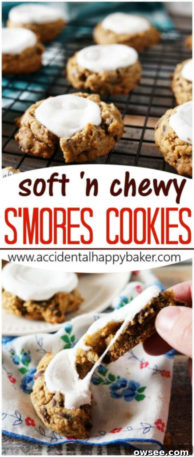 Soft and Chewy Smores Cookies - Loaded with chocolate chips, marshmallows, and graham cracker flavor these are the best smores you'll ever eat! 