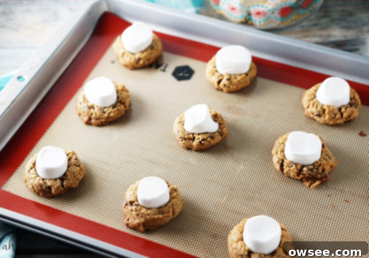 Soft and chewy s'mores cookies, perfect for a mess-free treat.