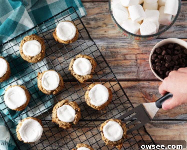 Close-up of a delicious s'mores cookie with golden-brown toasted marshmallow.