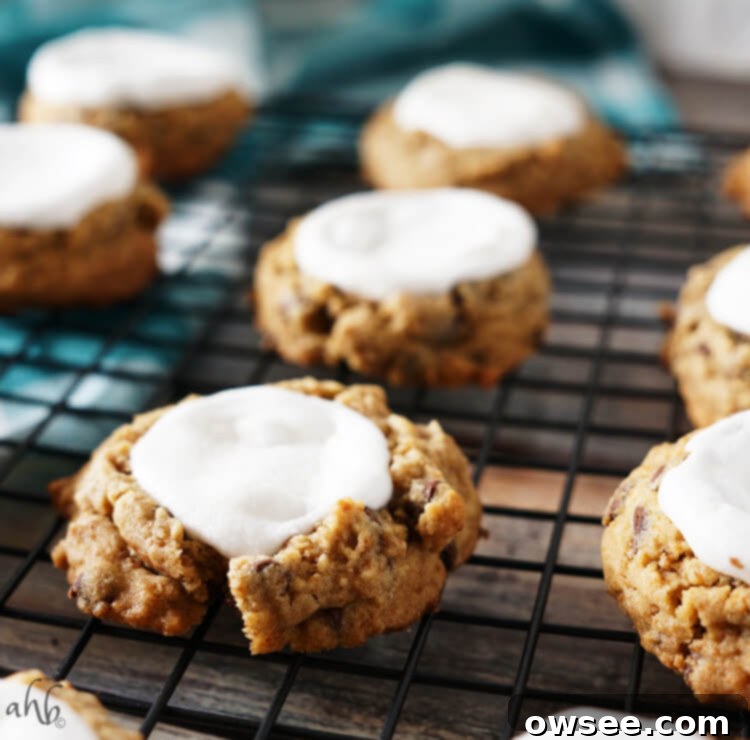 A plate of freshly baked s'mores cookies, ready to be enjoyed.