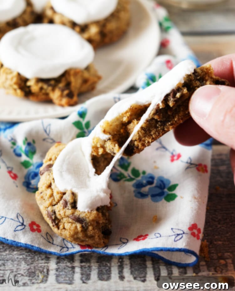 Smores Cookies 7 Soft and chewy s'mores cookies - perfect for any occasion.