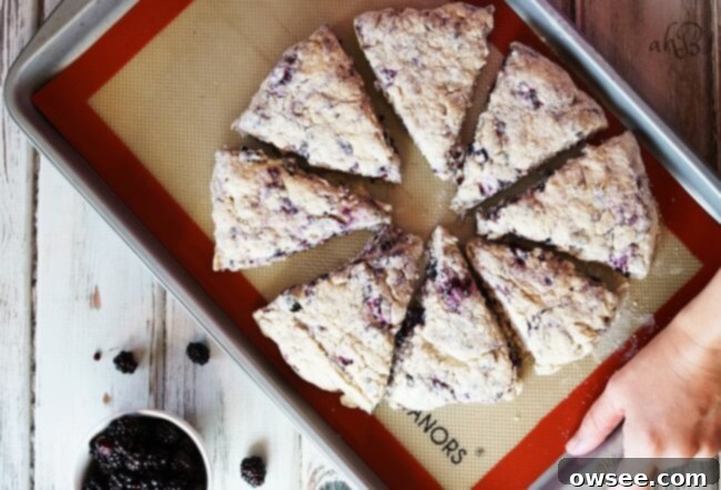 Hands gently breaking apart a freshly baked scone, revealing its tender, flaky interior.