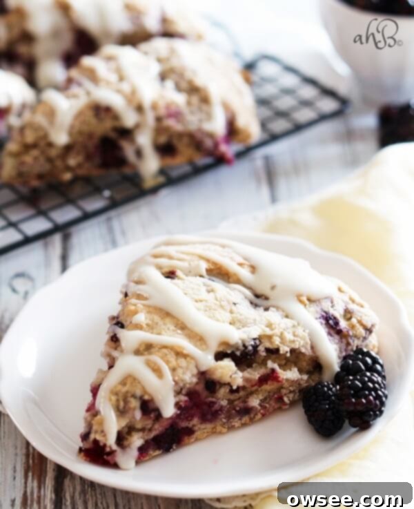 A freshly baked blackberry cream cheese scone, golden brown and glistening with a cream cheese glaze.