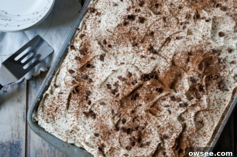 Decadent Tiramisu Sheet Cake 5 Tiramisu Sheet Cake
