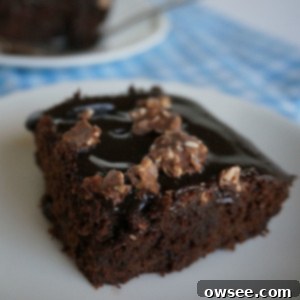 Velvety Fudge Brownies, Hazelnut Ganache Dream 2 A square homemade fudge brownie topped with hazelnut ganache and crushed Ferrero Rocher.