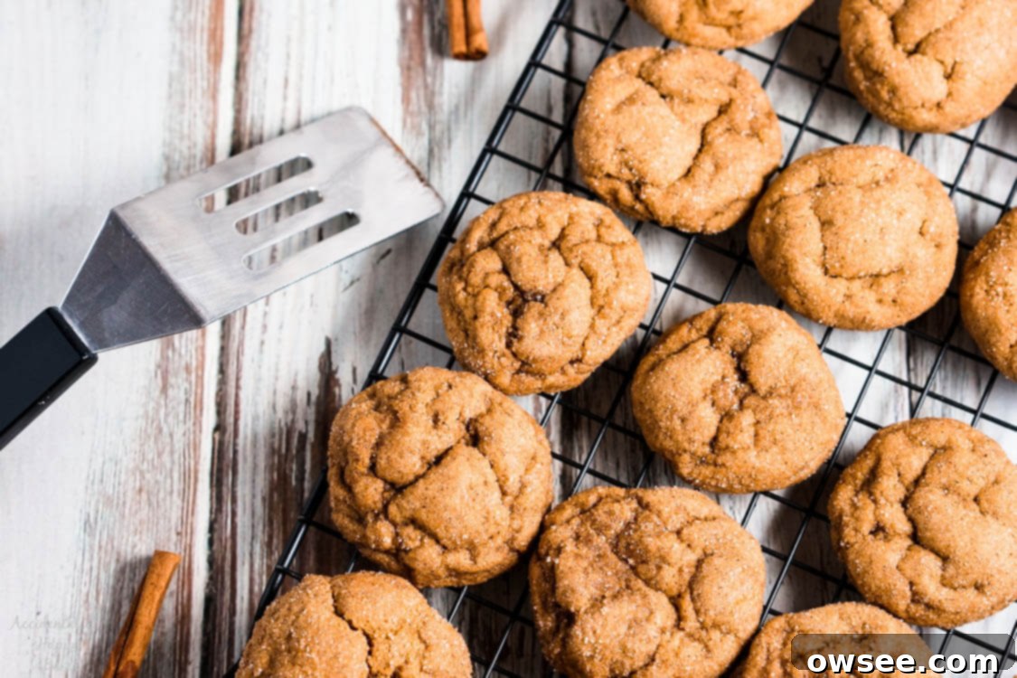 Several pumpkin gingersnap cookies set on a cooling rack, showcasing their beautiful crinkles and golden-brown edges, ready to be enjoyed.