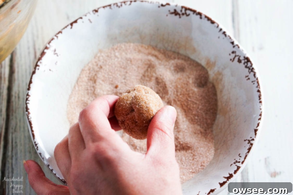 A perfectly portioned ball of pumpkin gingersnap cookie dough, thoroughly coated in a sparkling cinnamon sugar mixture, ready for baking.