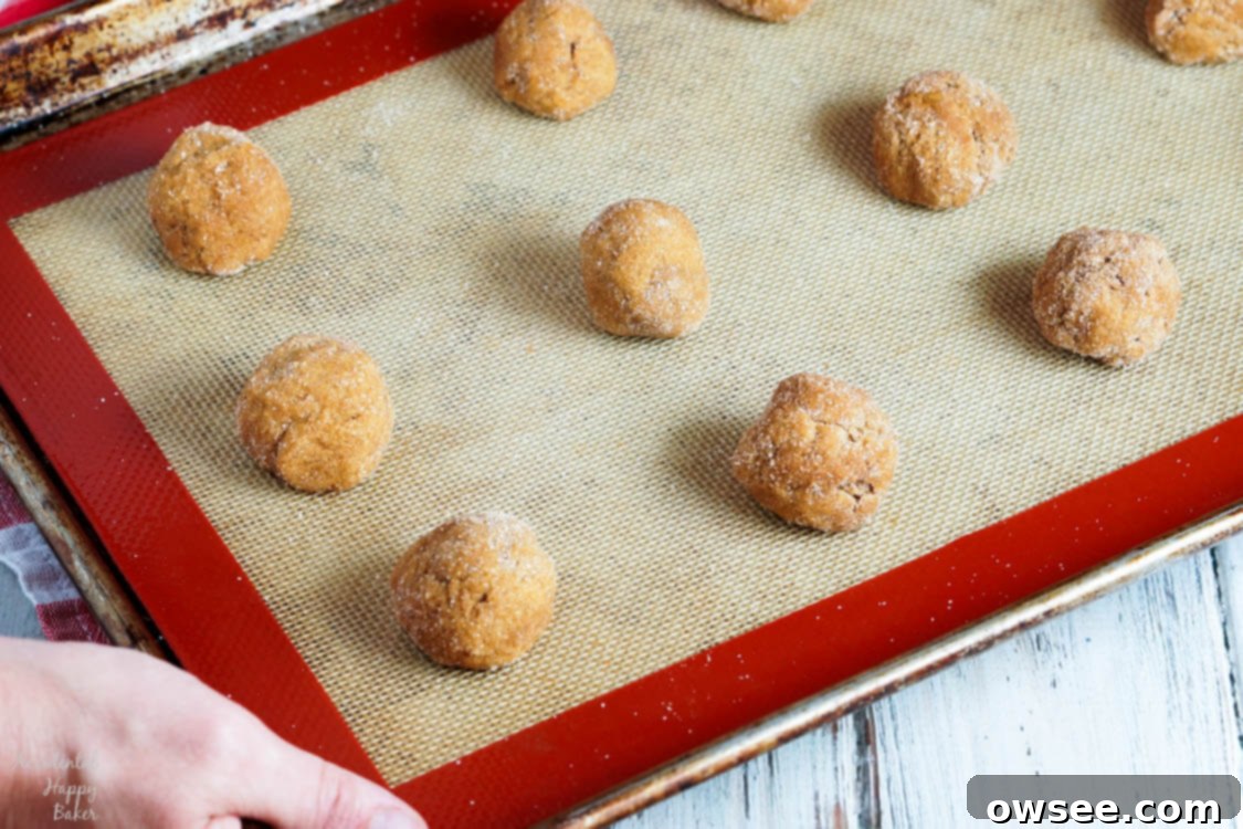 A baking sheet filled with evenly spaced pumpkin gingersnap cookie dough balls, coated in cinnamon sugar and ready to be placed into a preheated oven.