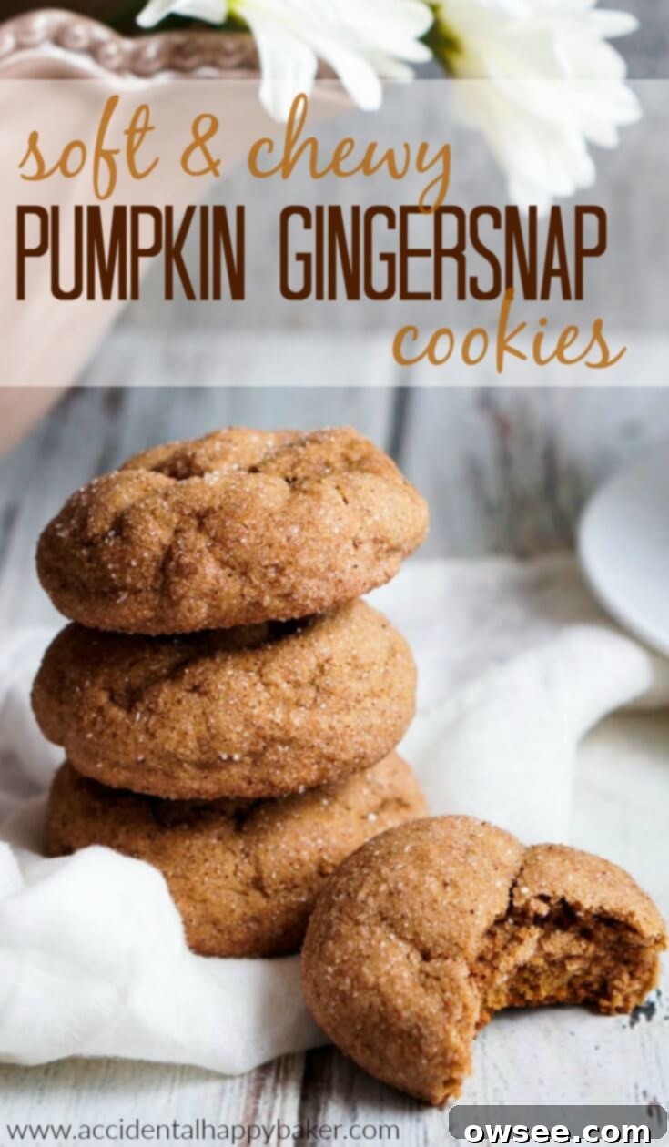 Delicious homemade Pumpkin Gingersnap Cookies for Fall baking inspiration.